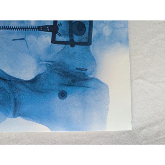 Lorde Signed Vinyl Virgin LP Autographed X-Ray Picture Disc - Picture 9 of 16